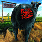 Picture of the Music Record - Dude Ranch [Explicit Content] by Blink 182