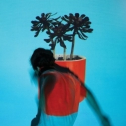 Image of the Music Record - Sunlit Youth by Local Natives