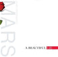 Picture of the Music Record - A Beautiful Lie by Thirty Seconds to Mars