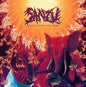 Picture of the Music Record - Heavy Over The Phone by Sanzu