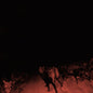 Picture of the Music Record - Shadow On Everything by Bambara