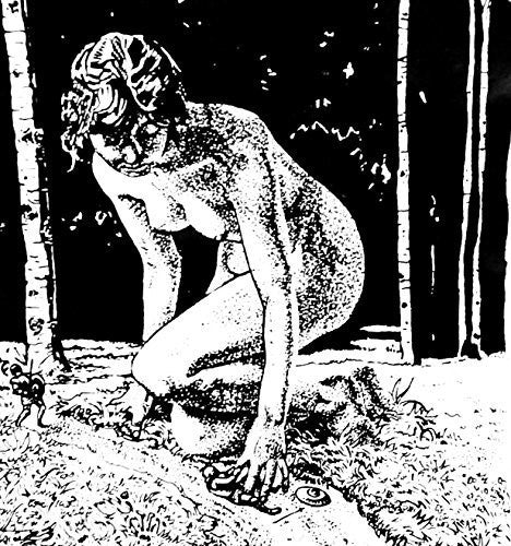 Picture of the Music Record - She Walks, She Creeps by Wtchs