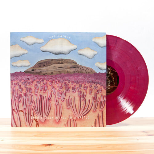 Picture of the Music Record - When I Think Of You In A Castle ( by Post Animal