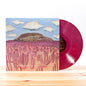 Picture of the Music Record - When I Think Of You In A Castle ( by Post Animal