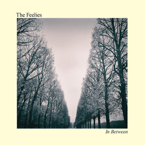 Image of the Music Record - In Between by The Feelies