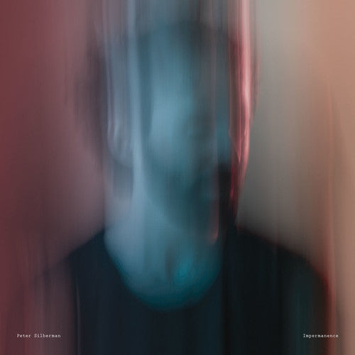 Picture of the Music Record - Impermanence by Peter Silberman