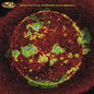 Picture of the Music Record - From Chaos by 311