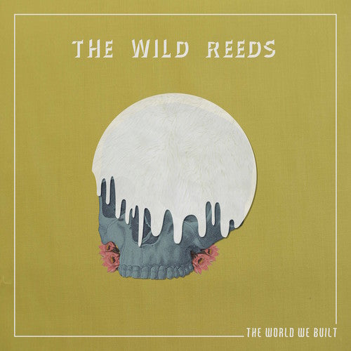 Picture of the Music Record - The World We Built by The Wild Reeds