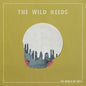 Picture of the Music Record - The World We Built by The Wild Reeds