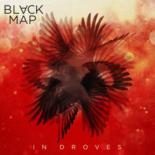 Picture of the Music Record - In Droves by Black Map