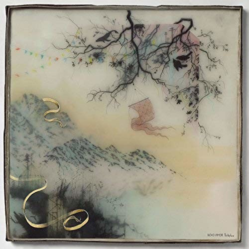Picture of the Music Record - Birthplace by Novo Amor