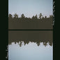 Picture of the Music Record - Now That The Light Is Fading by Maggie Rogers