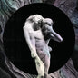 Picture of the Music Record - Reflektor by Arcade Fire