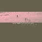 Picture of the Music Record - Look Now Look Again by Rainer Maria