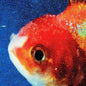 Picture of the Music Record - Big Fish Theory [Import] by Vince Staples