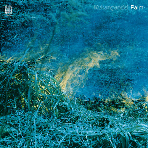 Image of the Music Record - Palm by KUKANGENDAI