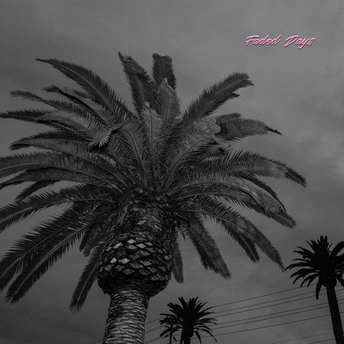 Picture of the Music Record - Faded Days by Actual Wolf