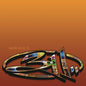 Picture of the Music Record - Greatest Hits 93-03 by 311