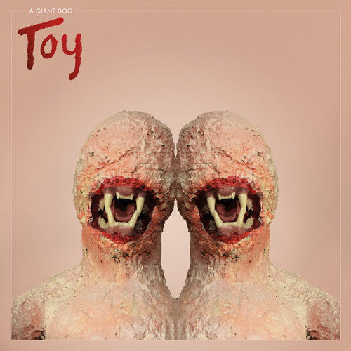 Picture of the Music Record - Toy by Giant Dog