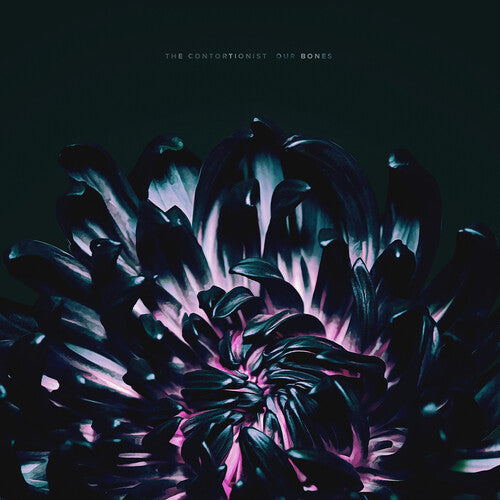 Picture of the Music Record - Our Bones by The Contortionist
