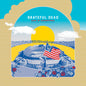 Picture of the Music Record - Saint Of Circumstance: Giants Stadium, East Rutherford NJ 6/ 17/ 91     (Live) by The Grateful Dead