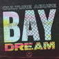 Picture of the Music Record - Bay Dream by Culture Abuse