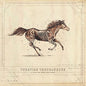 Picture of the Music Record - A Long Way From Your Heart by Turnpike Troubadours