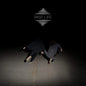 Picture of the Music Record - Past Life by Lost in the Trees