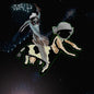 Picture of the Music Record - Preserves by Matt Valentine