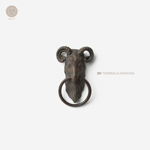 Picture of the Music Record - Terminalia Amazonia by Zu