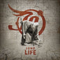 Picture of the Music Record - Life by Jono