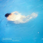 Picture of the Music Record - You Know I'm Not Going Anywhere by The Districts