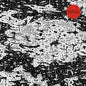 Picture of the Music Record - Bottom Feeder by Bummerville