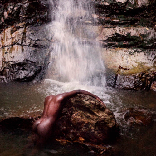 Picture of the Music Record - Grae by Moses Sumney