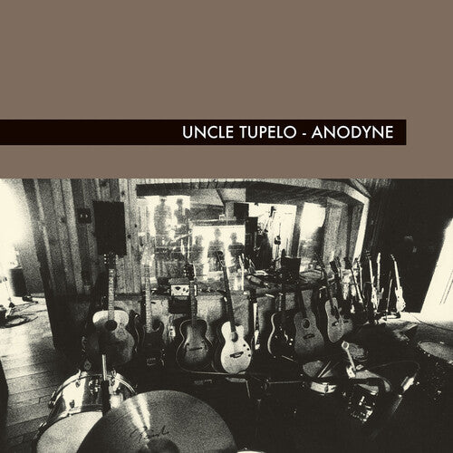 Picture of the Music Record - Anodyne by Uncle Tupelo