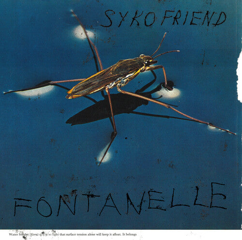 Picture of the Music Record - Fontanelle by Syko Friend