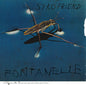 Picture of the Music Record - Fontanelle by Syko Friend