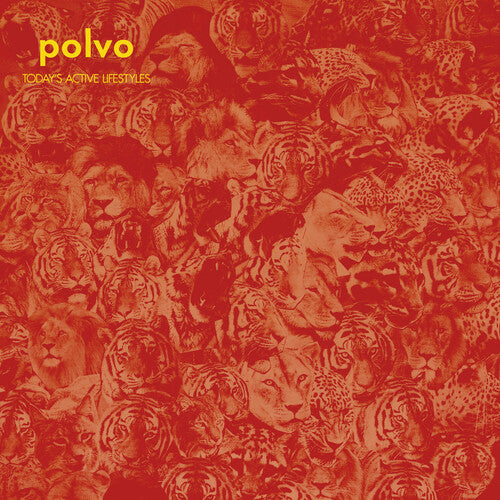 Picture of the Music Record - Today's Active Lifestyles by Polvo