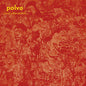 Picture of the Music Record - Today's Active Lifestyles by Polvo