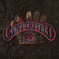 Picture of the Music Record - Centerfield by John Fogerty