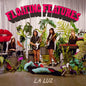 Picture of the Music Record - Floating Features by La Luz