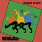 Picture of the Music Record - Wide Awake by Parquet Courts