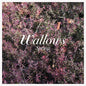 Picture of the Music Record - Spring [Explicit Content] by Wallows