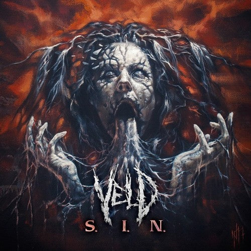 Picture of the Music Record - S.i.n. by Veld
