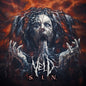Picture of the Music Record - S.i.n. by Veld