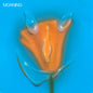 Picture of the Music Record - Uneasy Laughter by The Moaning