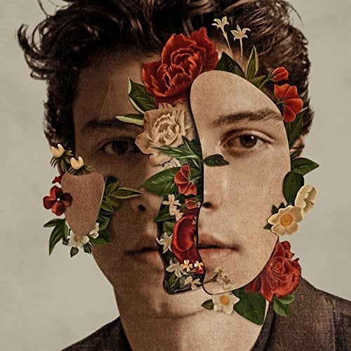 Picture of the Music Record - Shawn Mendes by Shawn Mendes