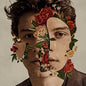 Picture of the Music Record - Shawn Mendes by Shawn Mendes