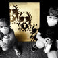 Picture of the Music Record - Lapse Of Luxury [Explicit Content] by Brian Wright