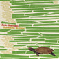 Picture of the Music Record - Harmony Avenue by Jade Hairpins